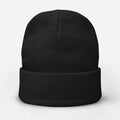 Knit Beanie (Otto Cap 82-480)